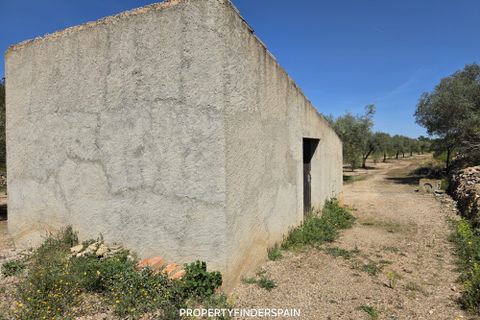 Landejendom i Ginestar, Tarragona, Ginestar - € 36.000 | Ref: 1013 Ginagua - foto 18
